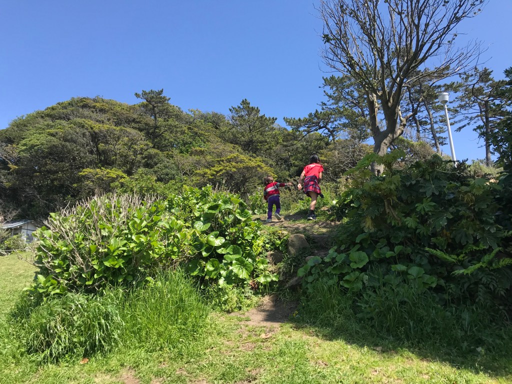 Two children, one a toddler and one elementary school aged, climb a small hill.